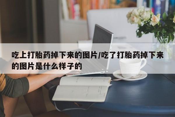 米非司酮在线下单吃上打胎药掉下来的图片/吃了打胎药掉下来的图片是什么样子的